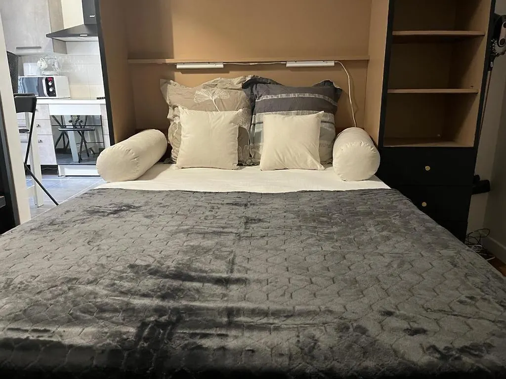 Totem Apartment Lyon France